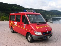 Tragkraftspritzenfahrzeug 